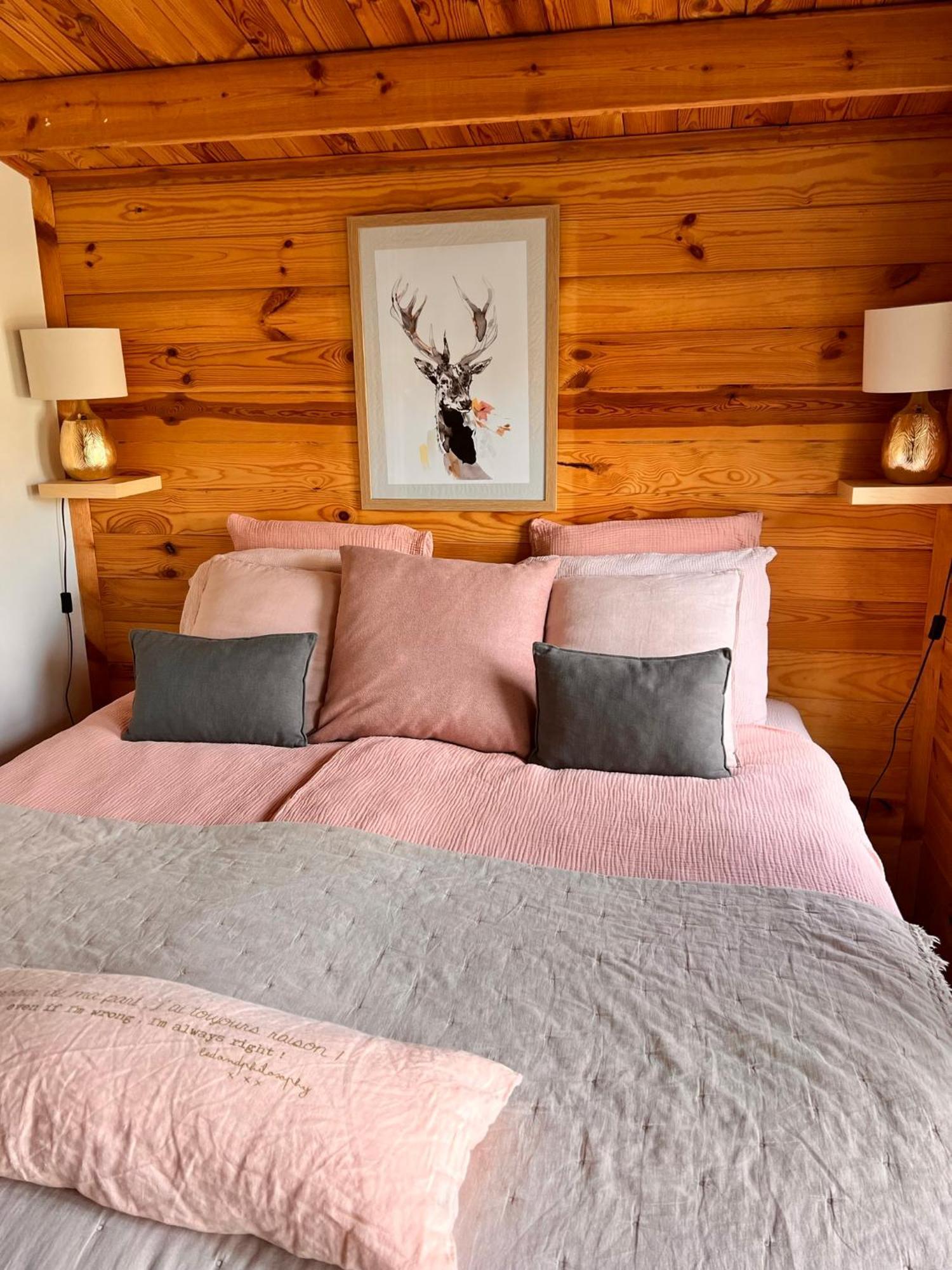 Hygge Lodge Annecy Doussard Buitenkant foto